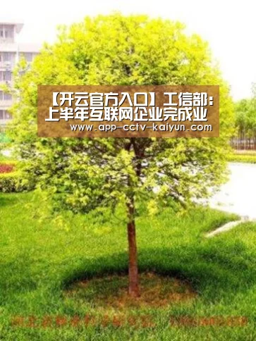 开云官网