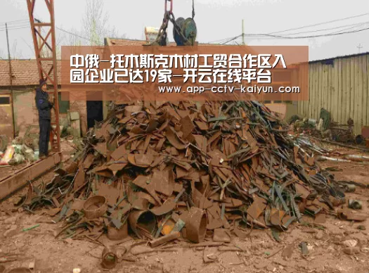 中俄-托木斯克木材工贸合作区入园企业已达19家-开云在线平台(图1) 开云在线平台