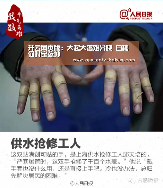 开云网页版:大起大落难分晓 白糖何时定乾坤(图2) 开云在线平台