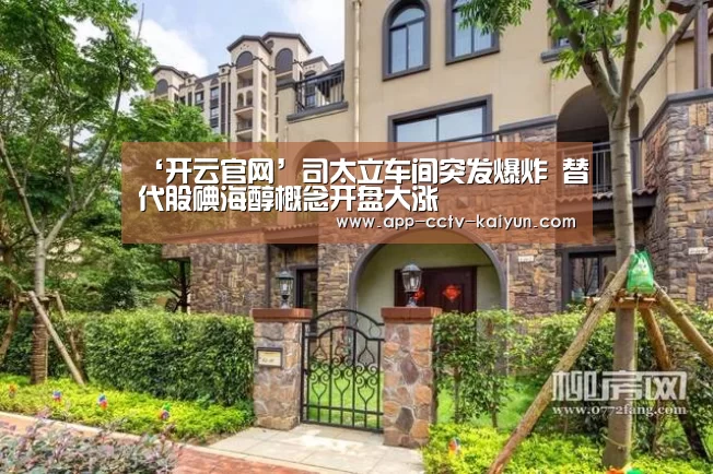 ‘开云官网’司太立车间突发爆炸 替代股碘海醇概念开盘大涨(图1) 开云网页版