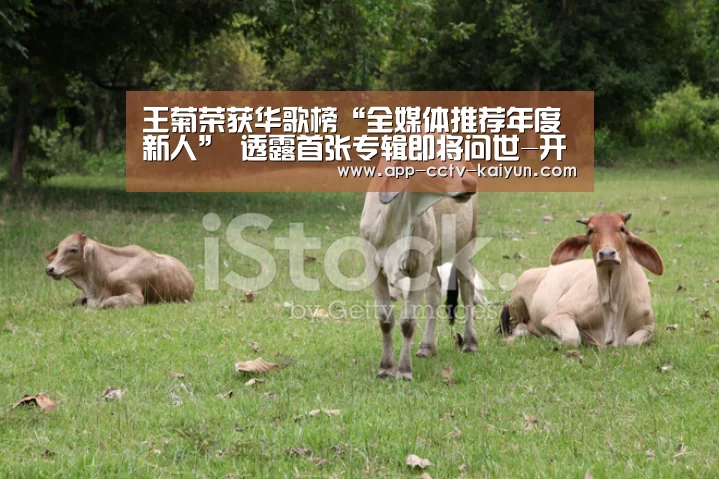 王菊荣获华歌榜“全媒体推荐年度新人” 透露首张专辑即将问世-开云官方入口(图2) 开云官方入口