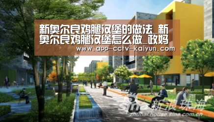 新奥尔良鸡腿汉堡的做法_新奥尔良鸡腿汉堡怎么做_政妈妈的菜谱|开云官网(图1) 开云官网