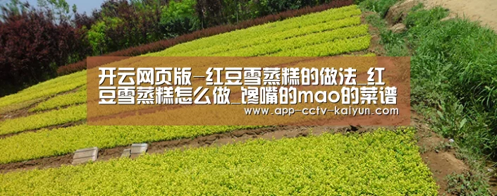 开云网页版-红豆雪蒸糕的做法_红豆雪蒸糕怎么做_馋嘴的mao的菜谱(图4) 开云在线平台