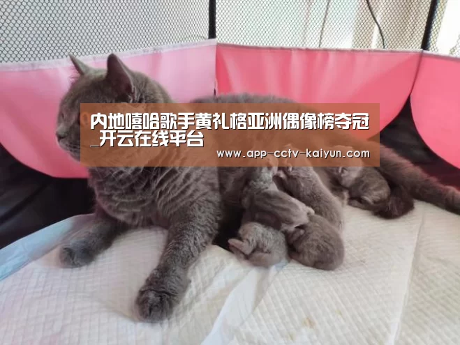 内地嘻哈歌手黄礼格亚洲偶像榜夺冠_开云在线平台(图1) 开云官方入口