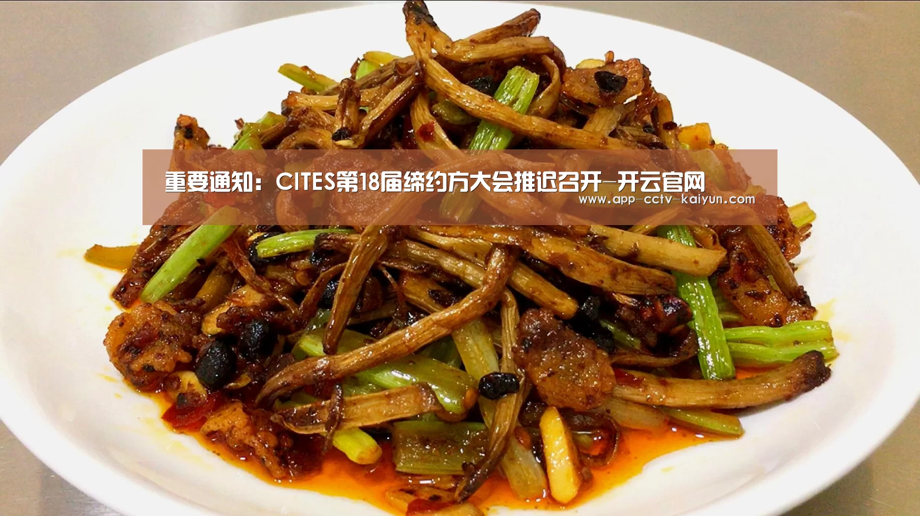 重要通知:CITES第18届缔约方大会推迟召开-开云官网(图2) 开云在线平台
